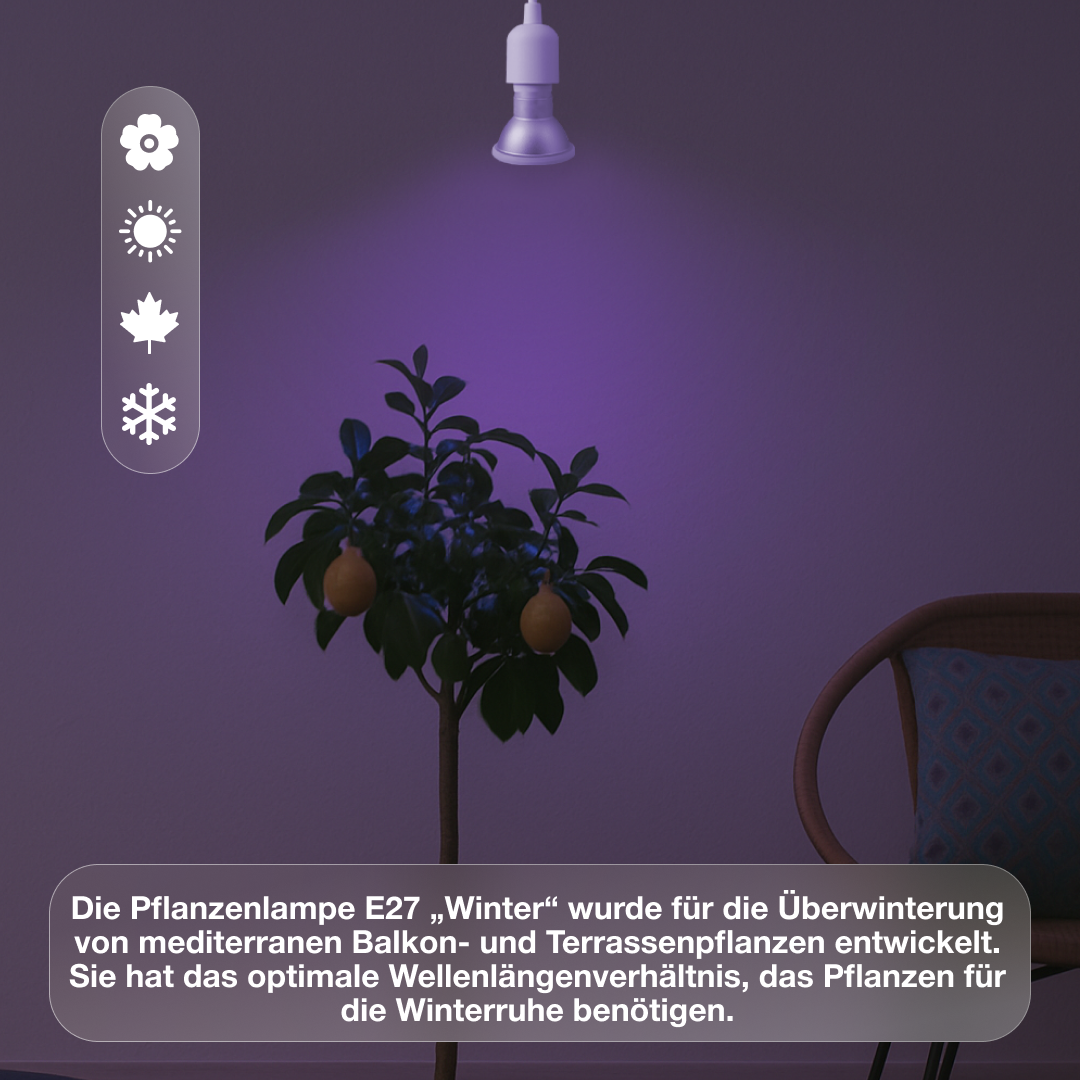 E27-Pflanzenlampe Grow Light Winter - LED Pflanzenlampe von Venso