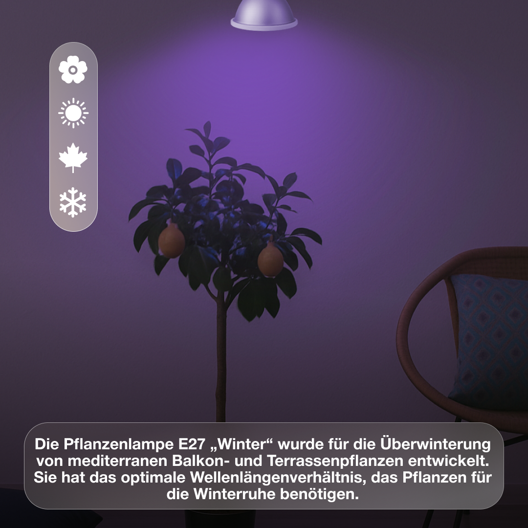 E27-Pflanzenlampe Grow Light Winter - LED Pflanzenlampe von Venso