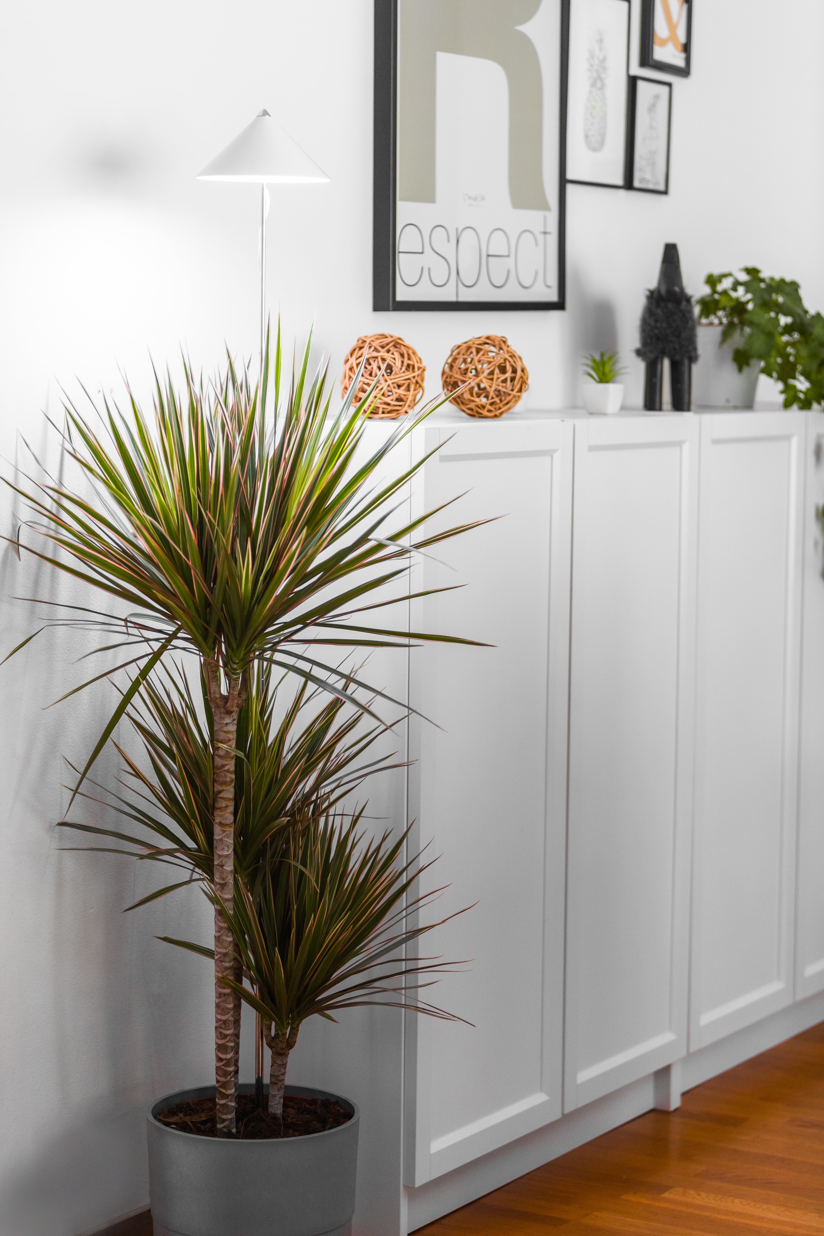 SUNLiTE XL 25 Watt - LED Pflanzenlampe von Venso