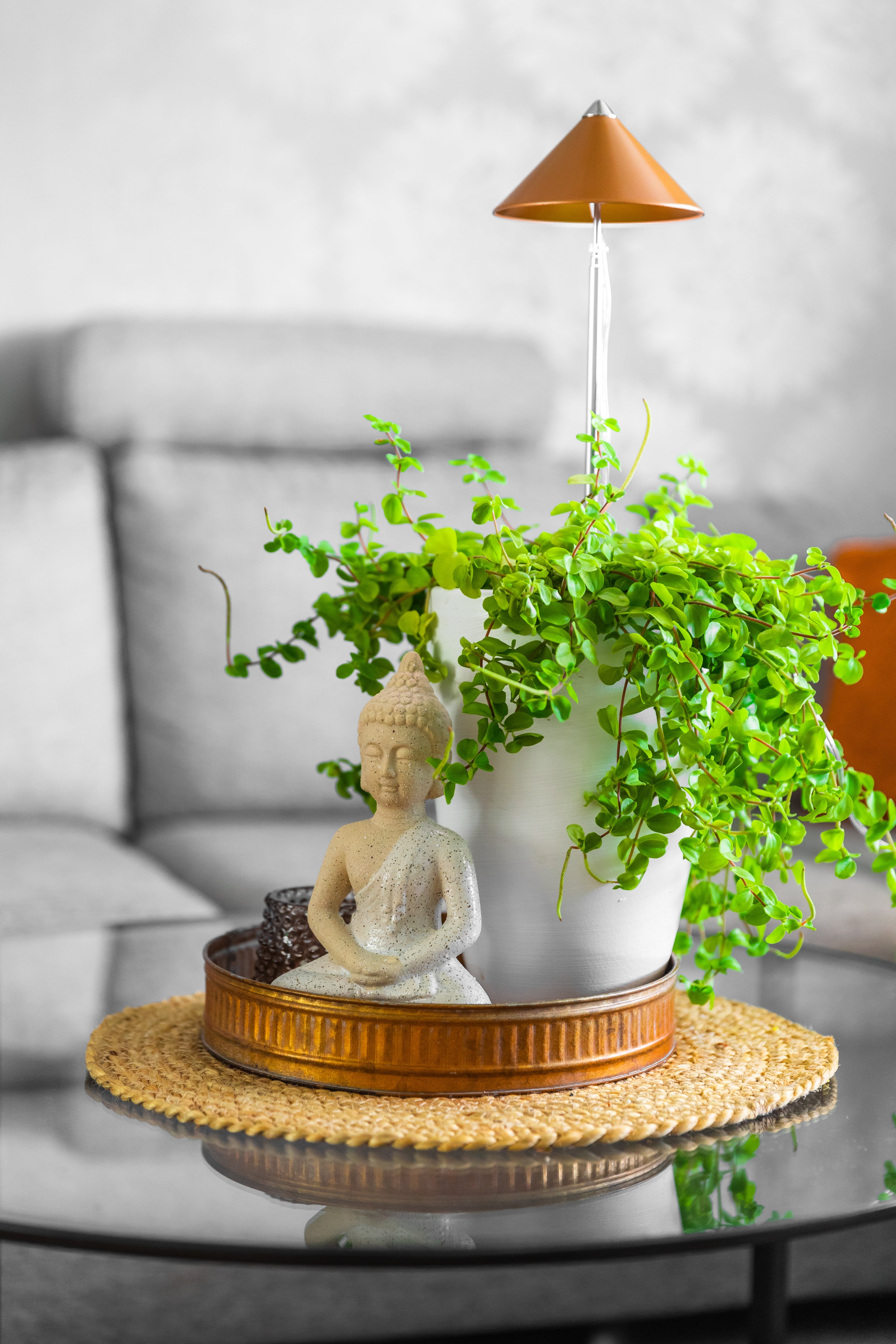 SUNLiTE 7W - LED Pflanzenlampe von Venso