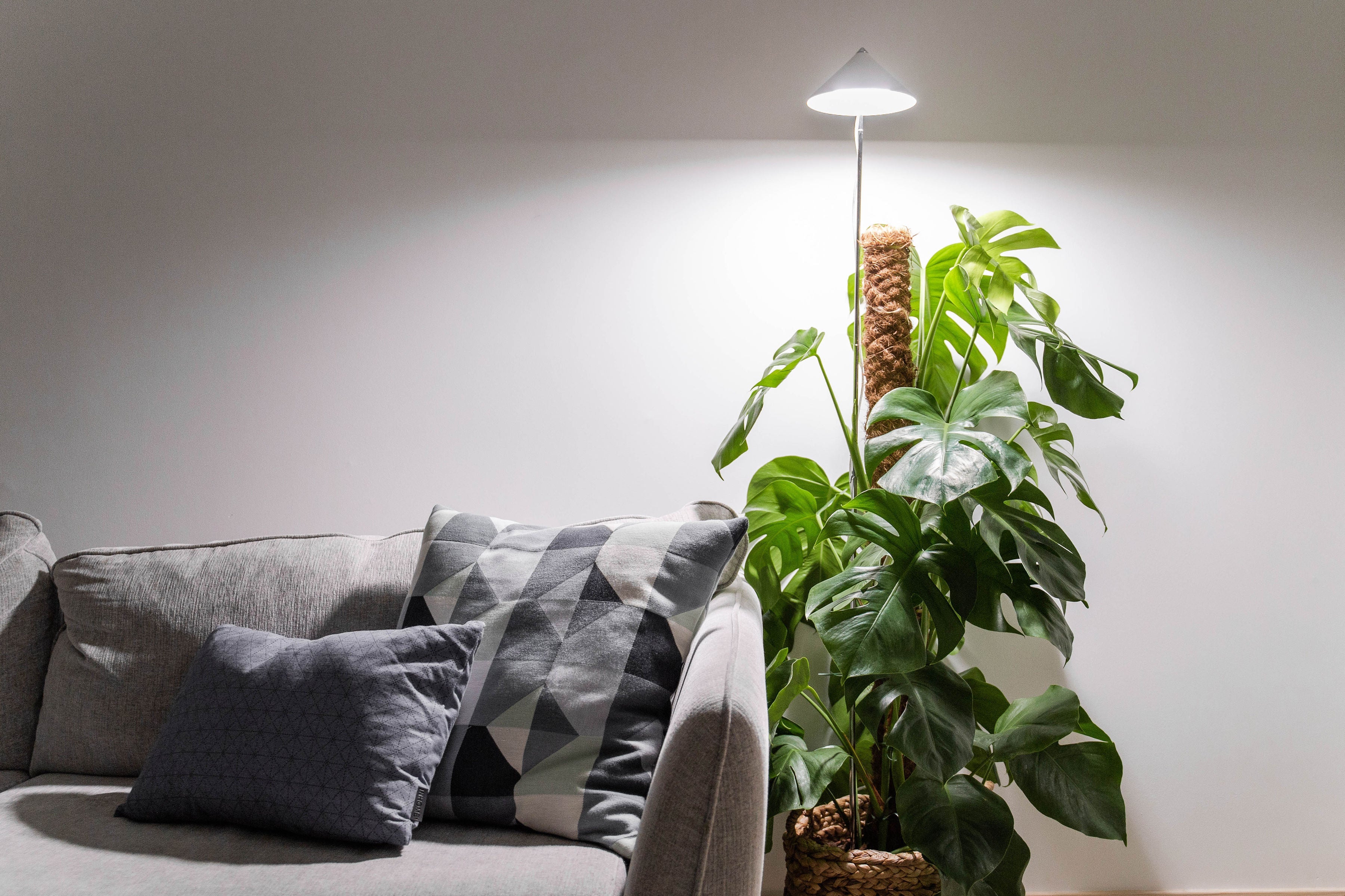 SUNLiTE XL 25 Watt - LED Pflanzenlampe von Venso