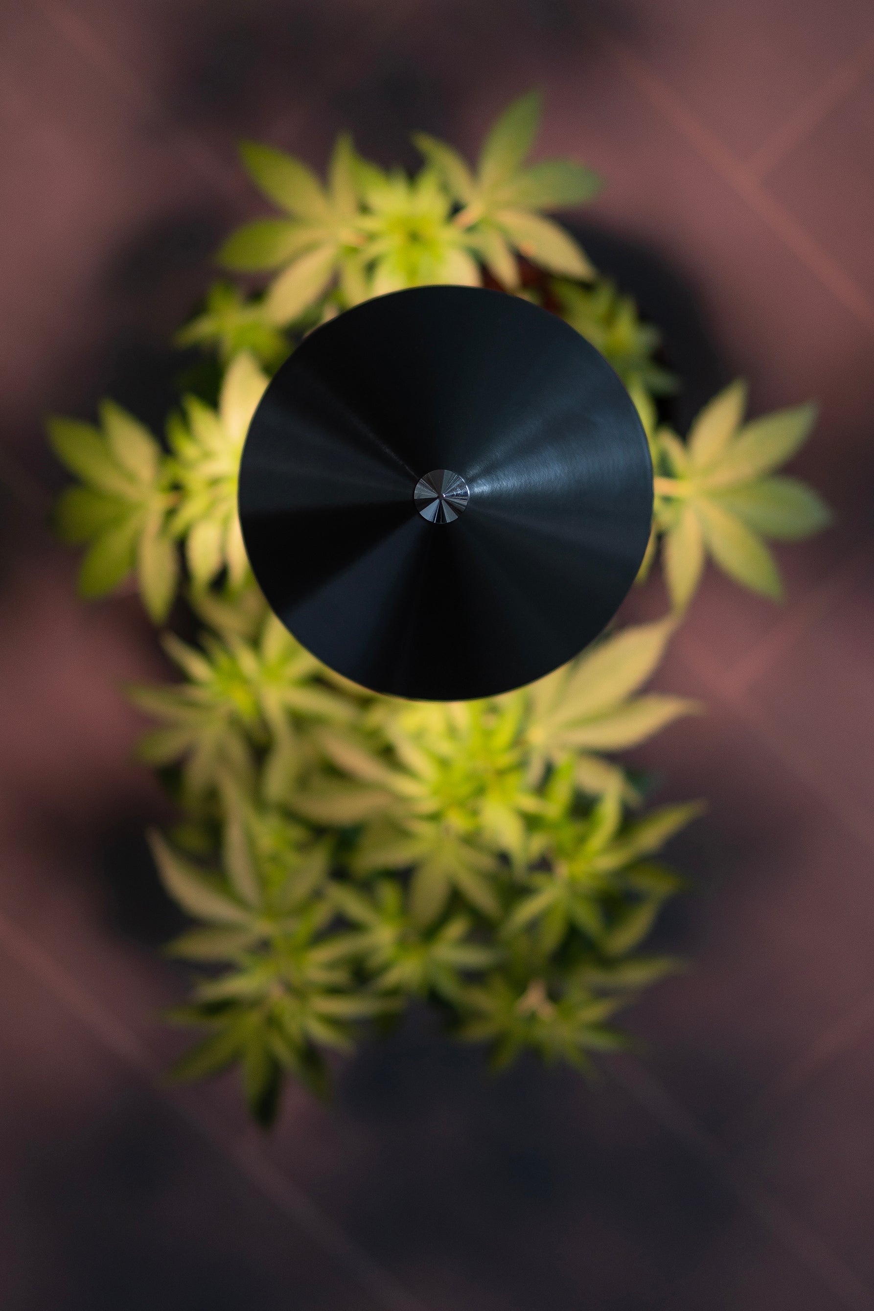 CANNA SUNLITE - LED Pflanzenlampe von Venso, 30 Watt Grow Light mit Vollspektrum + Infrarot