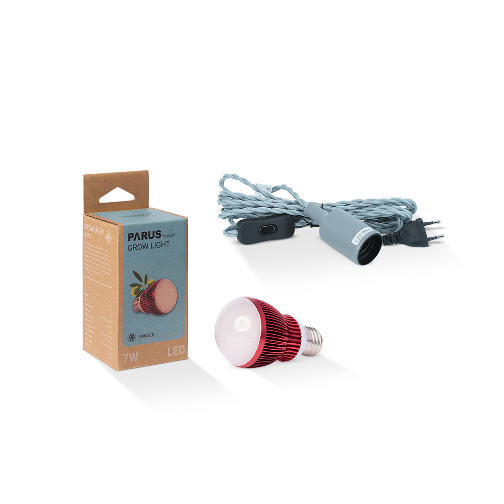 E27 Pflanzenlampe “winter” mit der Helix Lampenfassung im Vorteilspaket