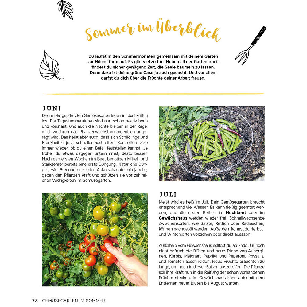 Ernte gut, alles gut! – Gemüsegärtnern im Hochbeet, Frühbeet und Gewächshaus