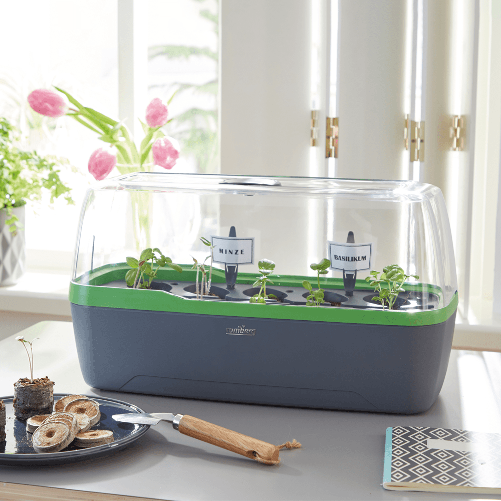 Zimmergewächshaus BoQube "L" Plus LED