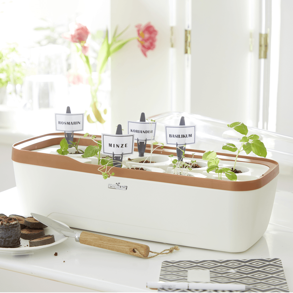 Zimmergewächshaus BoQube "L" Plus LED