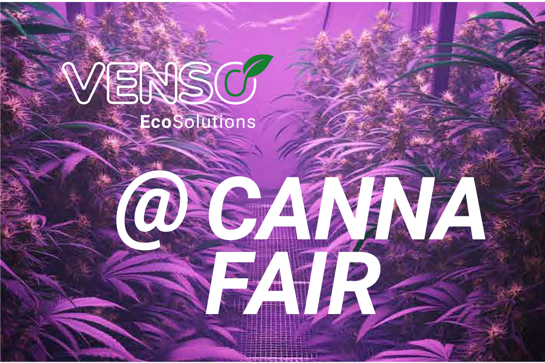 Venso auf der Cannafair