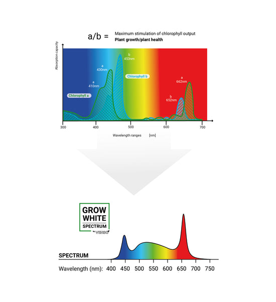 Venso Ecosolutions – Venso Germany