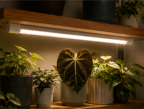 SUN MODE PRO 65 – LED Pflanzenlampe 65 cm | Vollspektrum + 660 nm | dimmbar