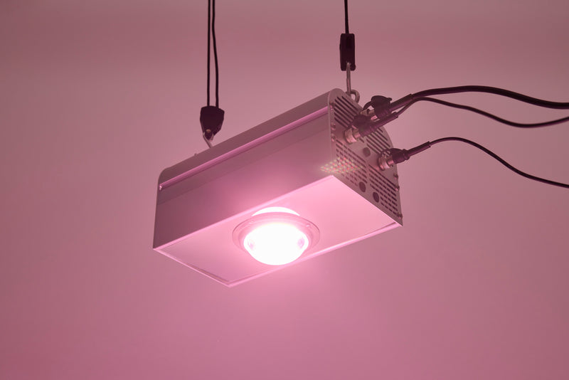 CANNA BULB 150 - LED Pflanzenlampe von Venso, 150 Watt Grow Light mit Vollspektrum + Infrarot