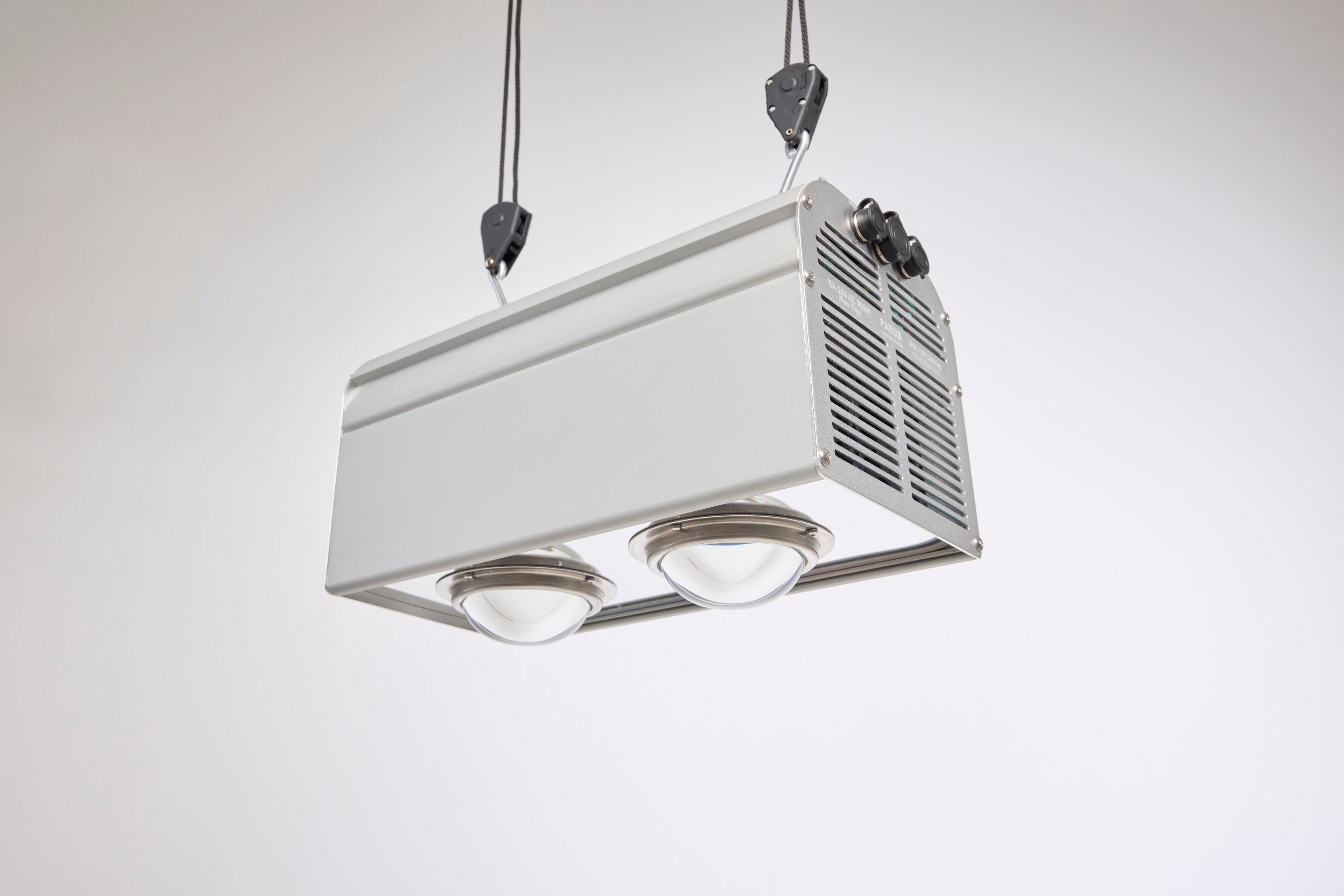 Canna Bulb Bundle no.04