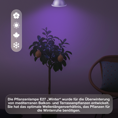 E27-Pflanzenlampe Grow Light Winter - LED Pflanzenlampe von Venso