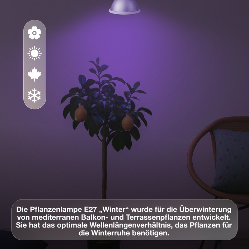 E27-Pflanzenlampe Grow Light Winter - LED Pflanzenlampe von Venso