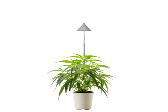 CANNA SUNLITE - LED Pflanzenlampe von Venso, 30 Watt Grow Light mit Vollspektrum + Infrarot