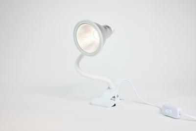 E27 plant lamp "Indoor Plants" - LED plant lamp from Venso