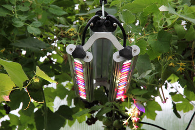 GrowLight Quattro - LED Pflanzenlampe von Venso
