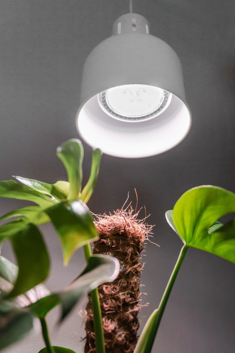 Venso ecosolutions lampada led sunlite per piante da interno indoor Bianca  o Rossa