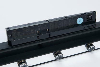 TrackLight Schwarz 30°