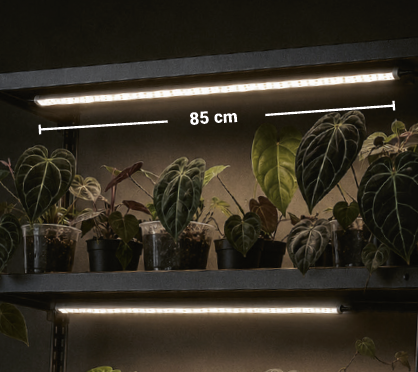Sun Mode Pro 85 cm LED-Pflanzenlampe
