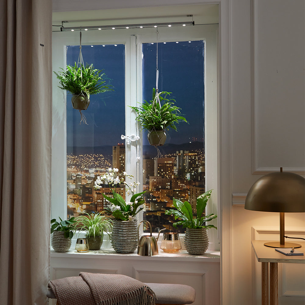 LED Wall Spot - LED Pflanzenlampe von Venso