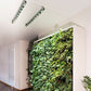 LED Wall Spot - LED plant lamp from Venso