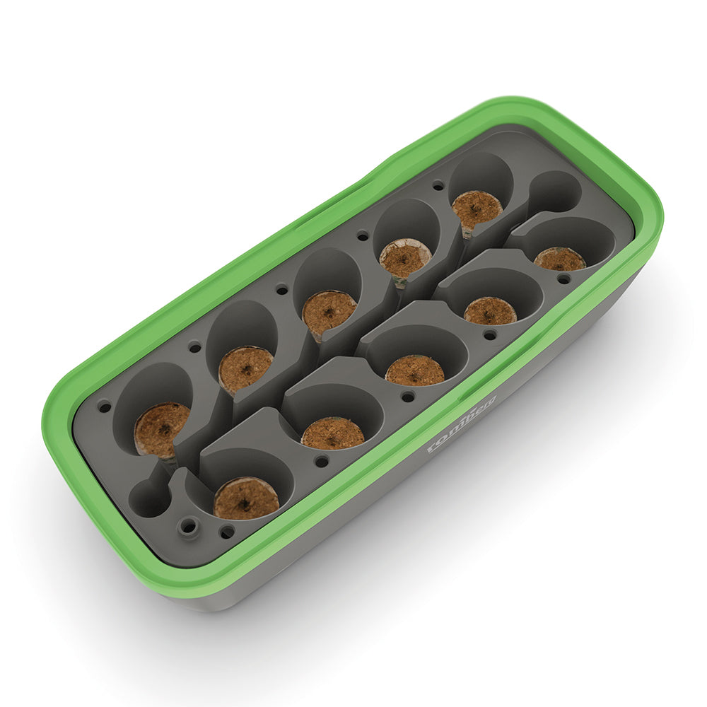 Zimmergewächshaus BoQube "L"