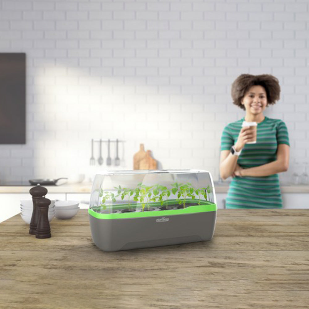 Zimmergewächshaus BoQube "L"