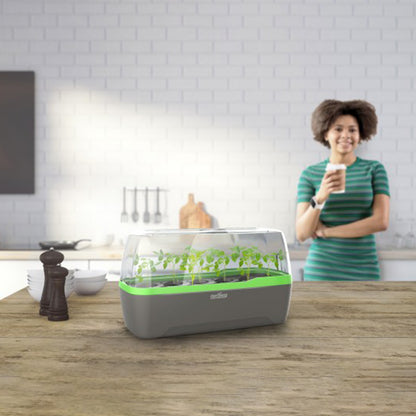 Zimmergewächshaus BoQube "L"