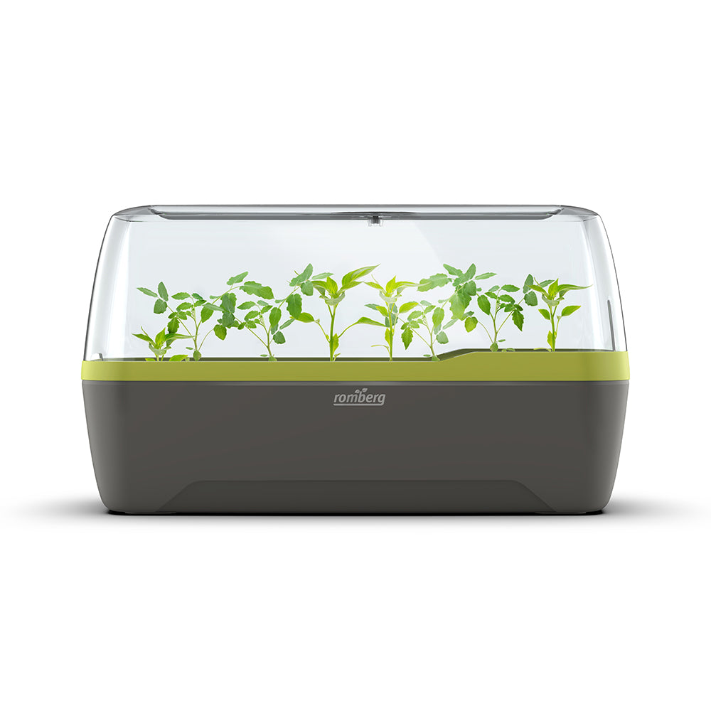 Zimmergewächshaus BoQube "L"