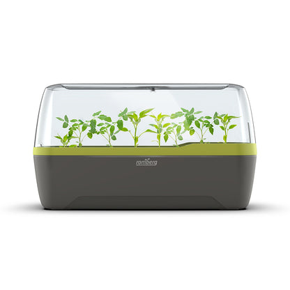 Zimmergewächshaus BoQube "L"