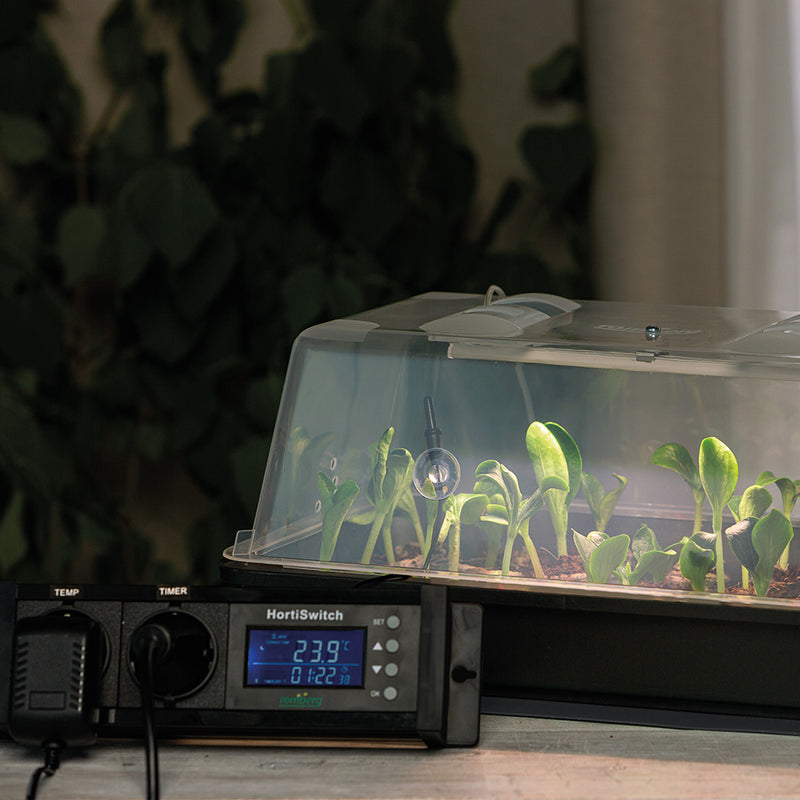 Thermostat "HortiSwitch"