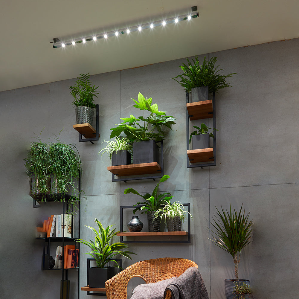 LED Wall Spot - LED Pflanzenlampe von Venso