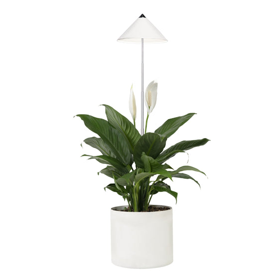 SUNLiTE 7W - LED plant lamp from Venso