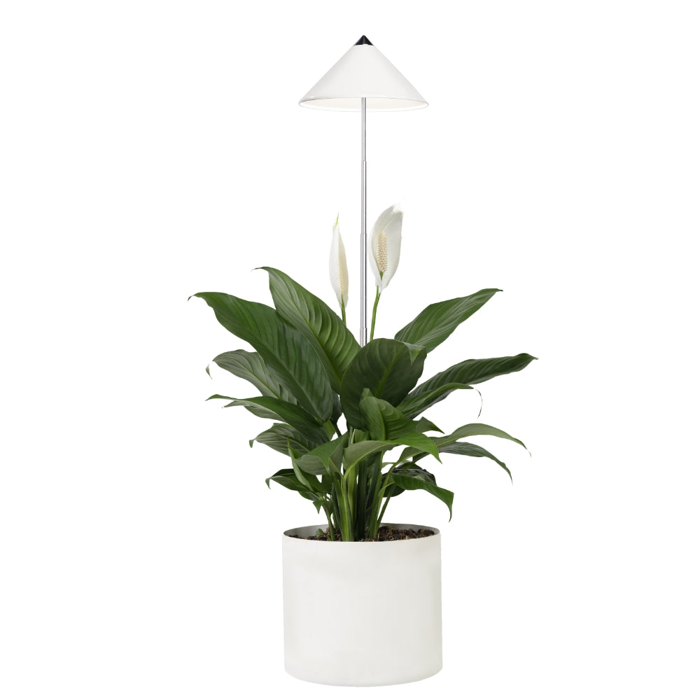 SUNLiTE 7W - LED Pflanzenlampe von Venso