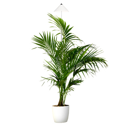 SUNLiTE XL 25 Watt - LED Pflanzenlampe von Venso