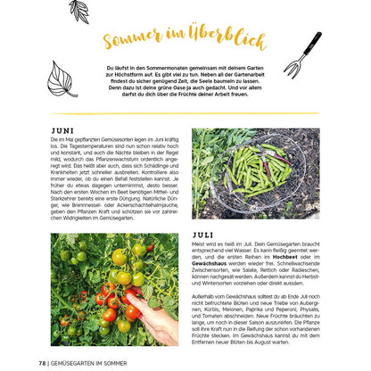 Ernte gut, alles gut! – Gemüsegärtnern im Hochbeet, Frühbeet und Gewächshaus