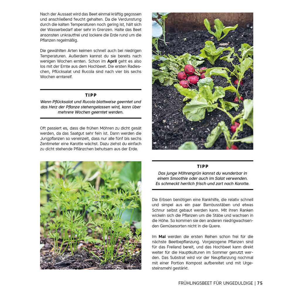 Ernte gut, alles gut! – Gemüsegärtnern im Hochbeet, Frühbeet und Gewächshaus