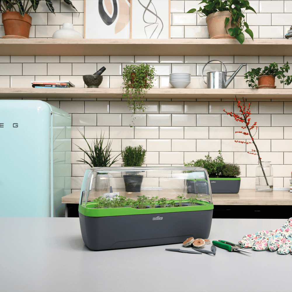 Zimmergewächshaus BoQube "L" Plus LED