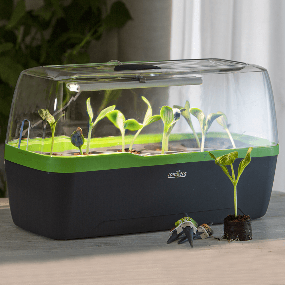 Indoor greenhouse BoQube