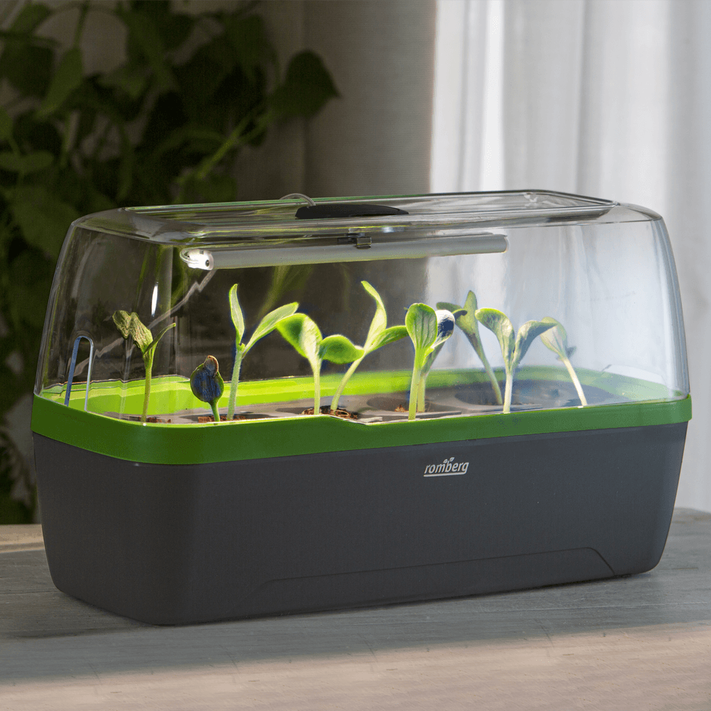 Zimmergewächshaus BoQube "L" Plus LED