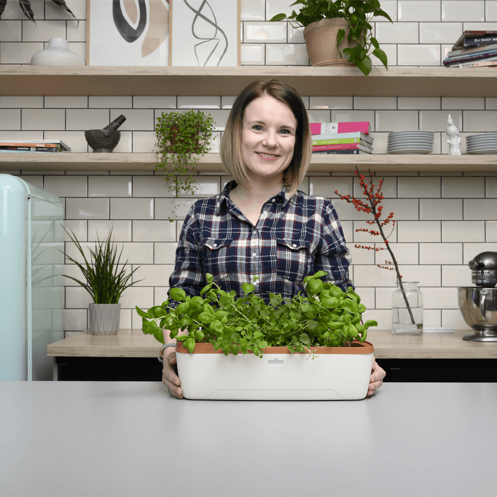 Zimmergewächshaus BoQube "L" Plus LED