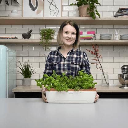 Zimmergewächshaus BoQube "L" Plus LED