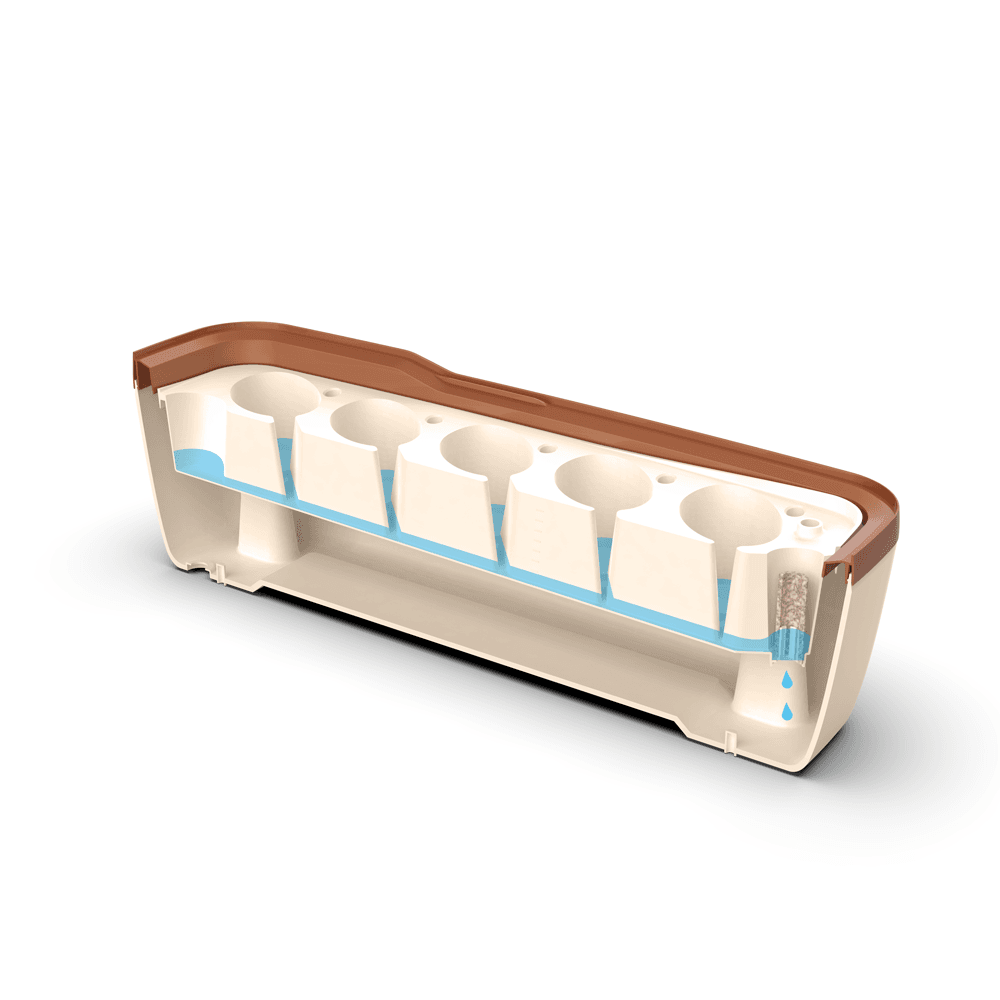 Zimmergewächshaus BoQube "L" Plus LED