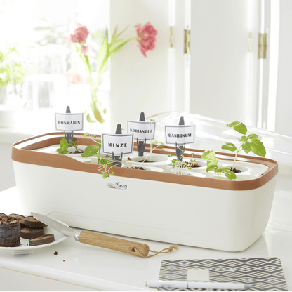 Zimmergewächshaus BoQube "L" Plus LED