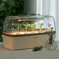 Indoor greenhouse BoQube "L" Plus LED
